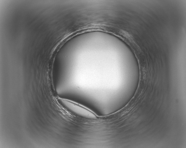 X0000053111260200508081216