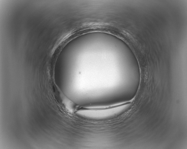 X0000053111261200508081216