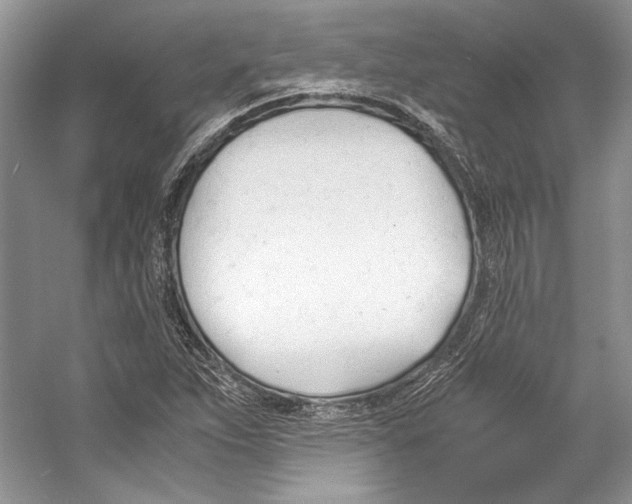 X0000053111263200508081216