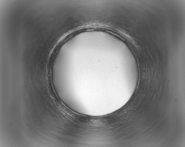 X0000053111264200508081216