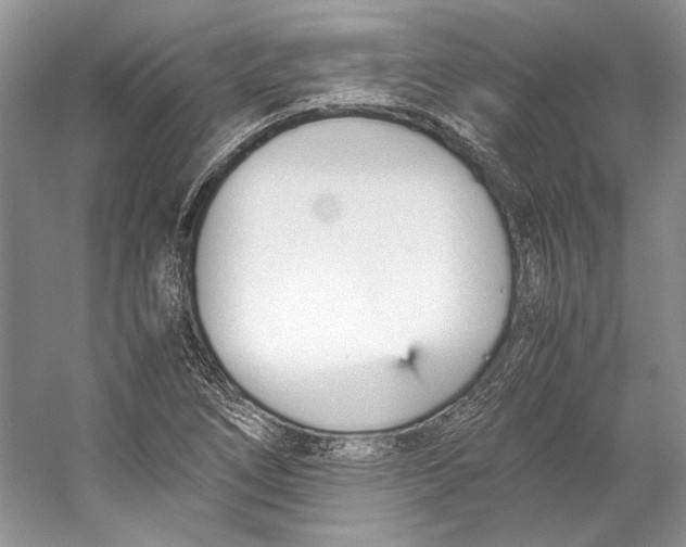 X0000053111266200508081216