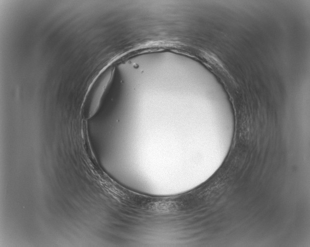 X0000053111268200508081216