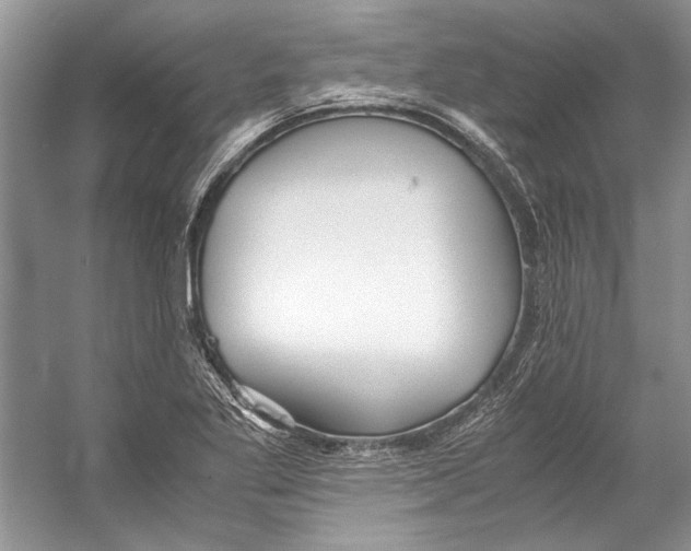 X0000053111269200508081216