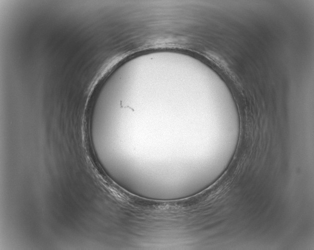 X0000053111277200508081216