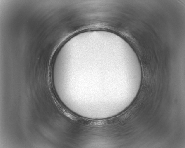 X0000053111278200508081216