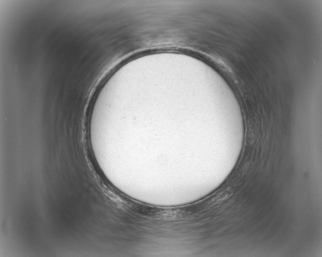 X0000053111279200508081216