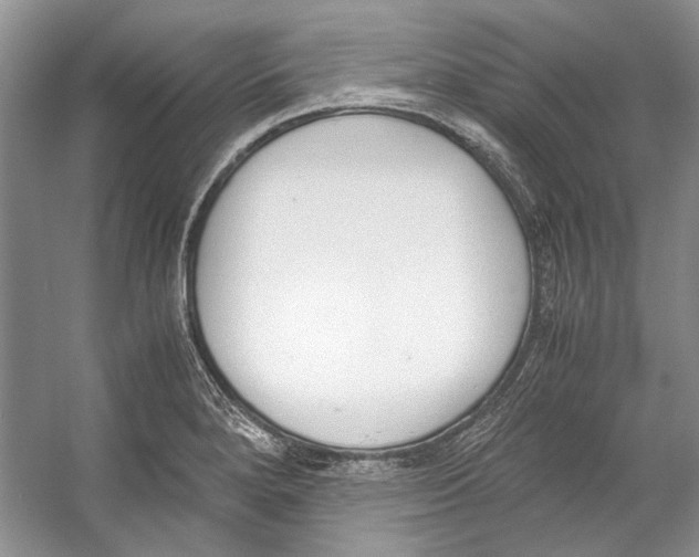 X0000053111280200508081216