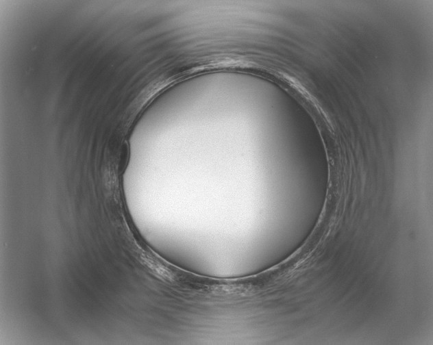 X0000053111281200508081216