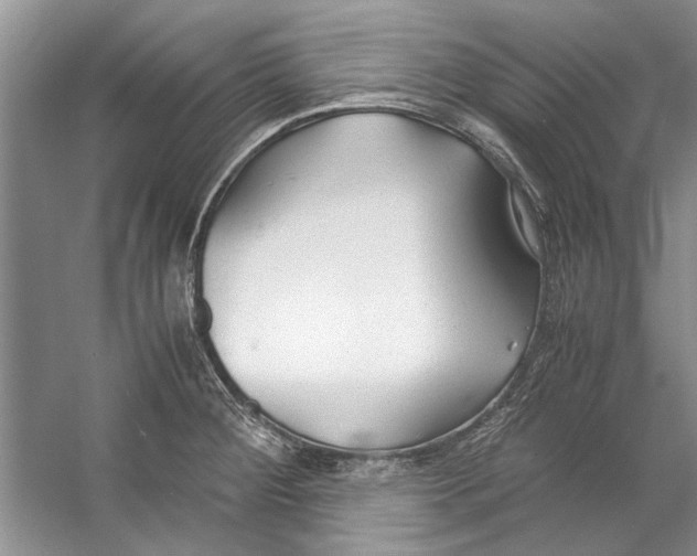 X0000053111284200508081215