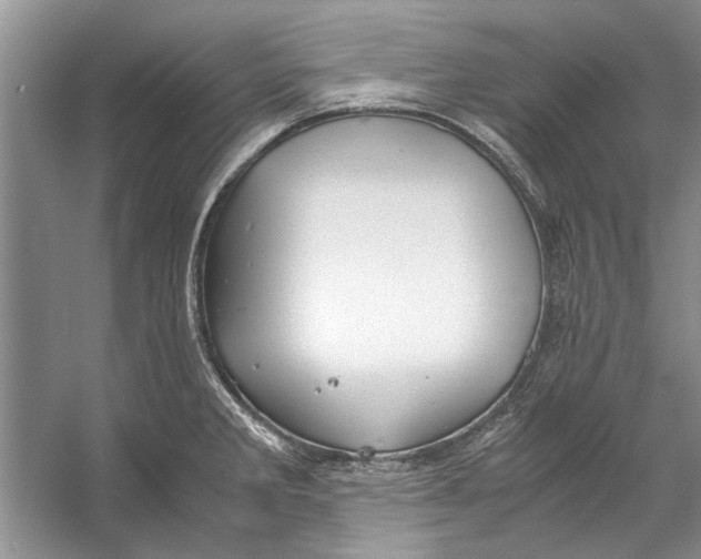 X0000053111285200508081215