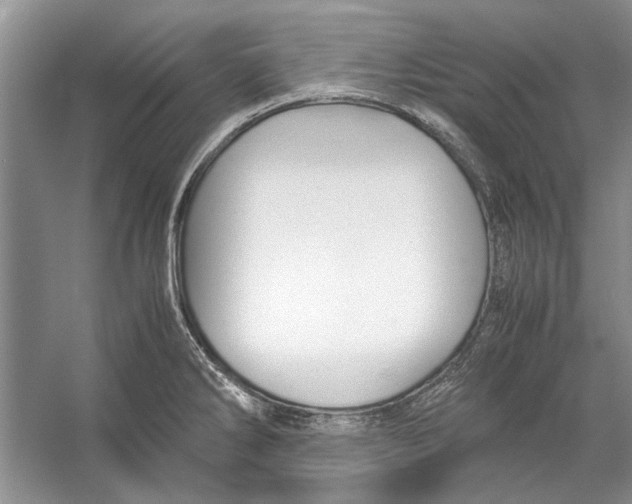 X0000053111286200508081215