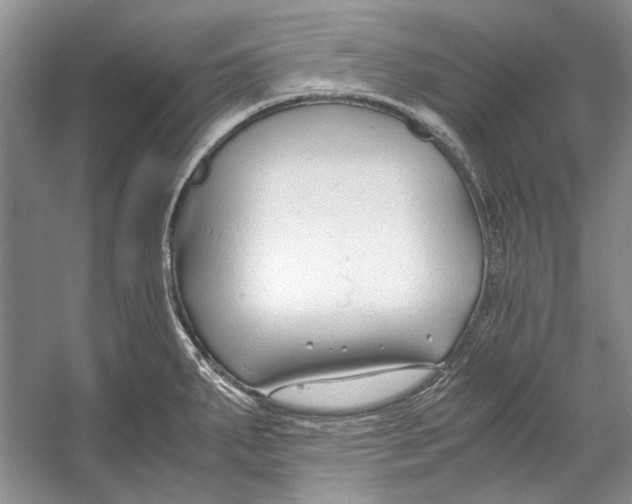 X0000053111287200508081215