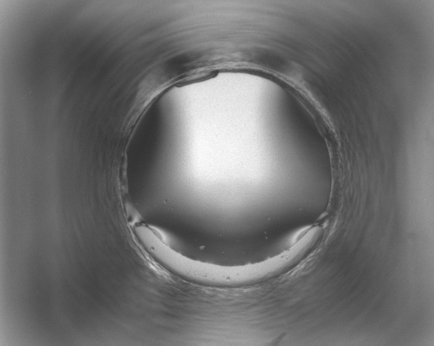 X0000053111289200508081215