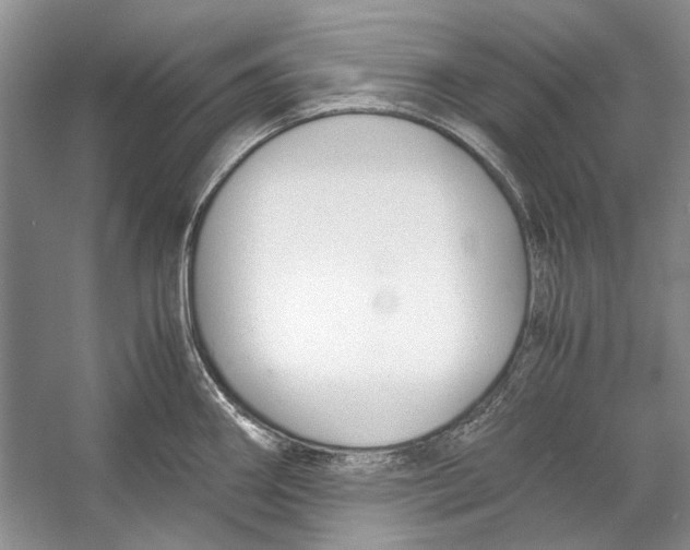 X0000053111290200508081215