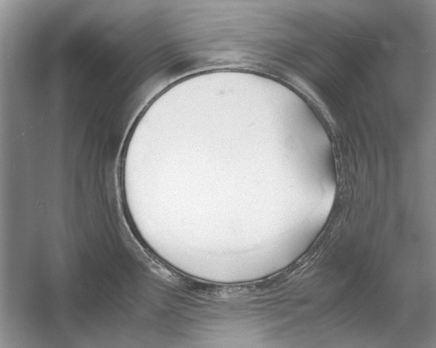 X0000053111291200508081215