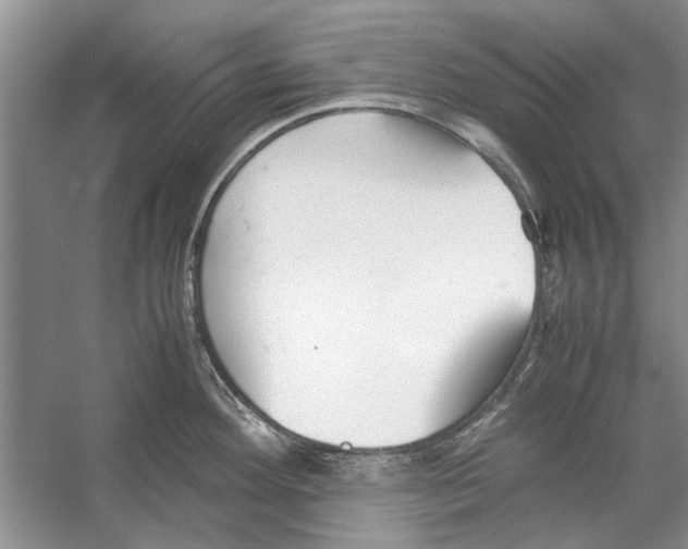 X0000053111292200508081215