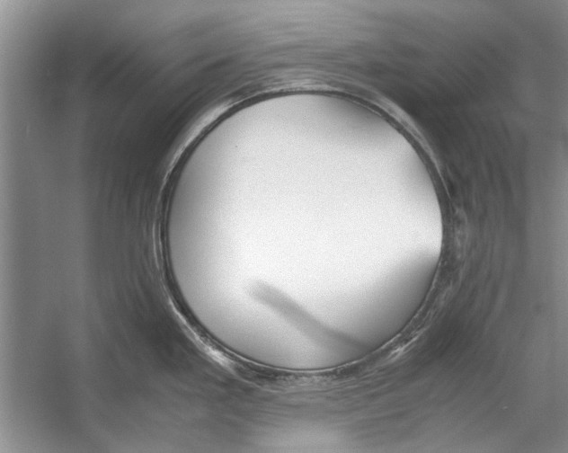 X0000053111293200508081215