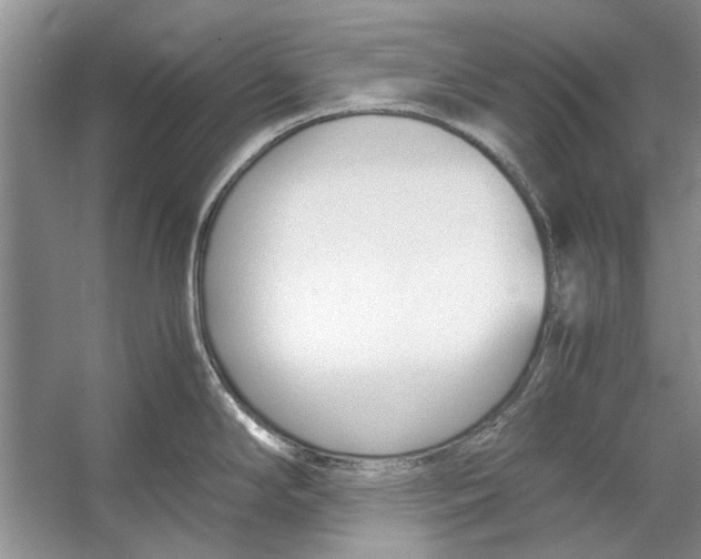 X0000053111294200508081215