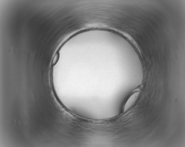 X0000053111295200508081215