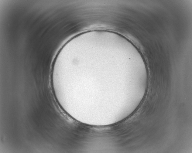 X0000053111296200508081215