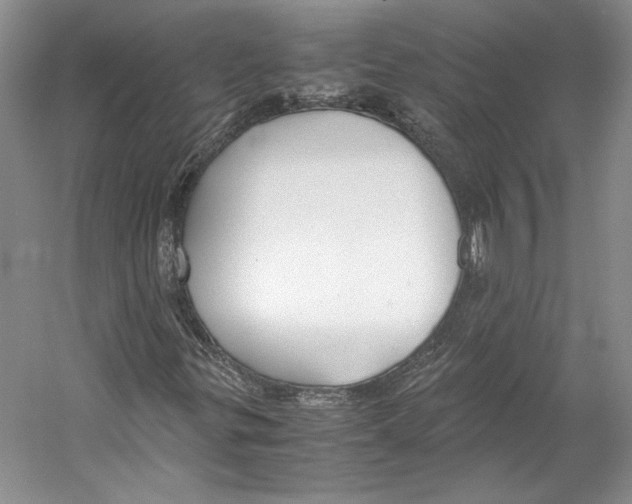 X0000053111299200508081214