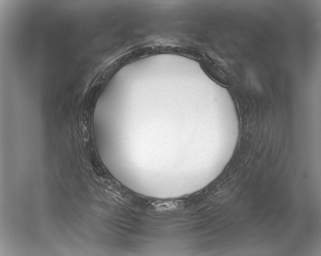 X0000053111303200508081215