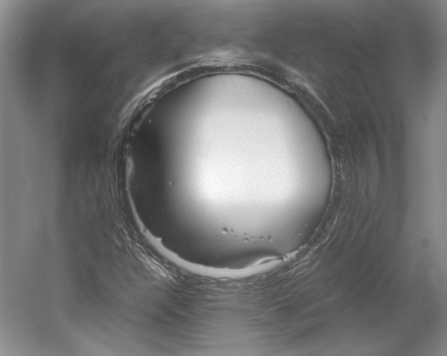 X0000053111304200508081215