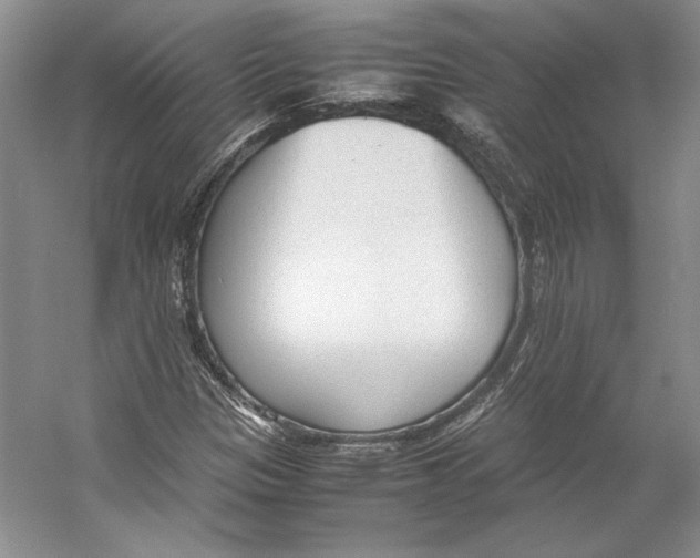 X0000053111305200508081215