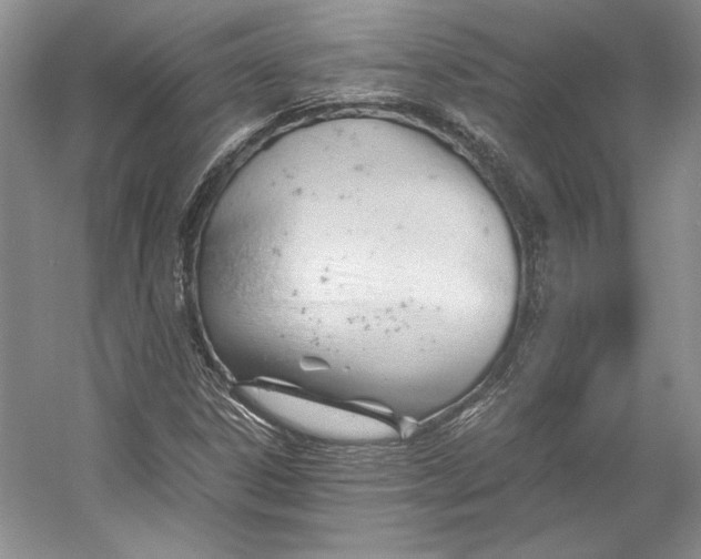 X0000053111306200508081215