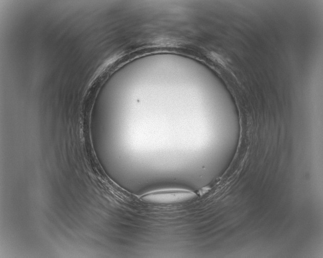 X0000053111307200508081215