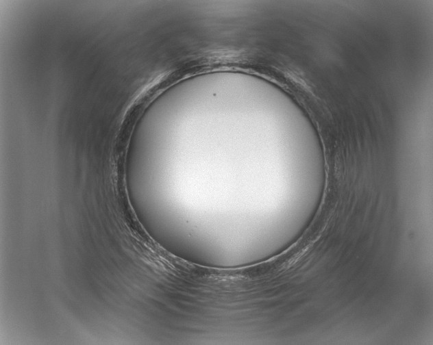 X0000053111309200508081215