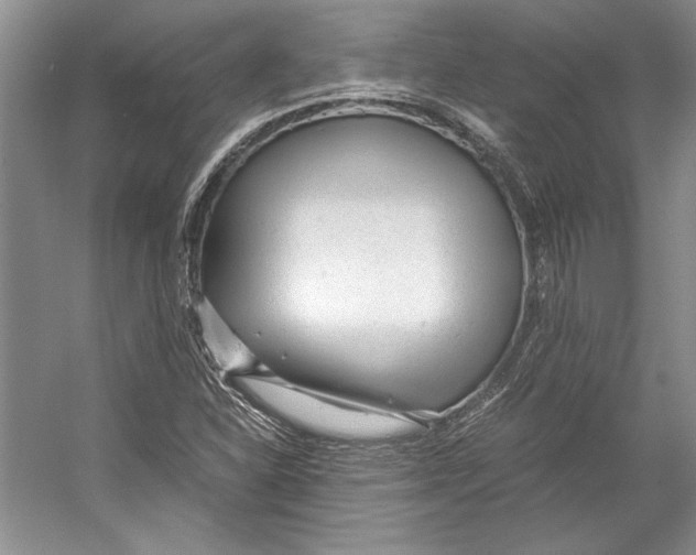 X0000053111310200508081215