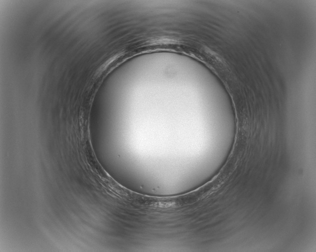 X0000053111313200508081215