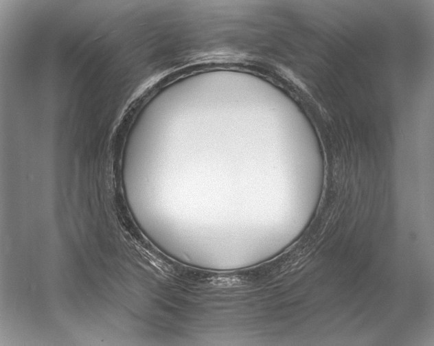 X0000053111315200508081215