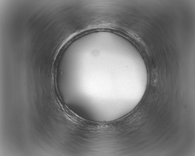 X0000053111316200508081215