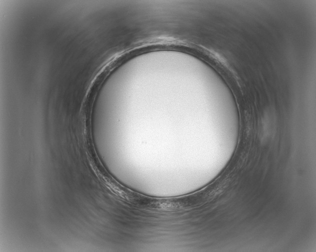 X0000053111318200508081215