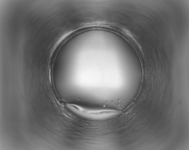 X0000053111320200508081215