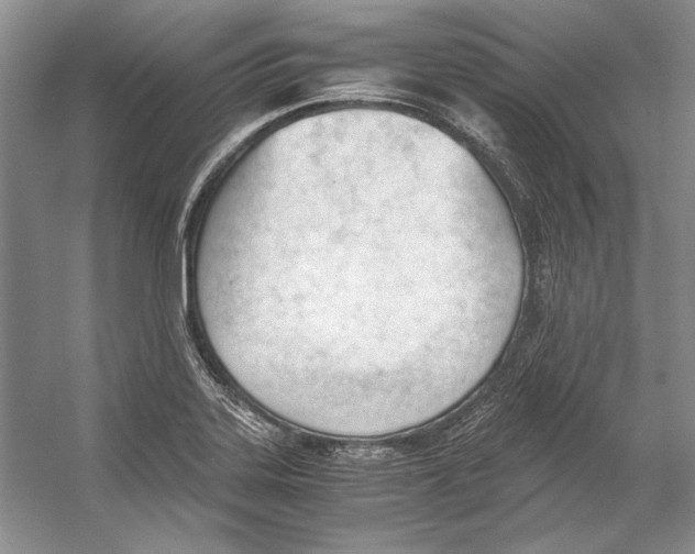 X0000053111323200508081215