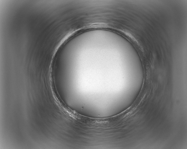 X0000053111325200508081215