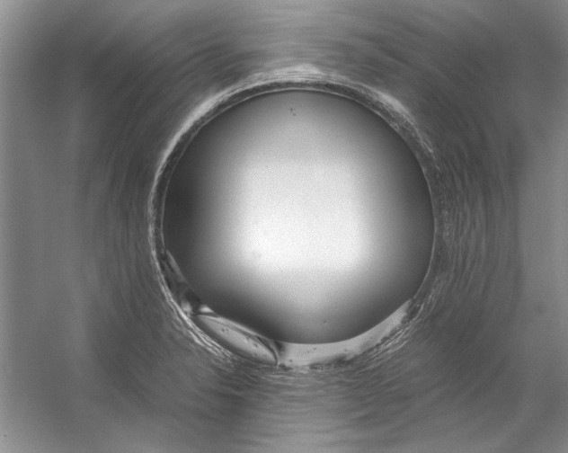 X0000053111326200508081215