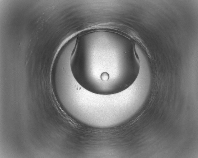 X0000053111328200508081215