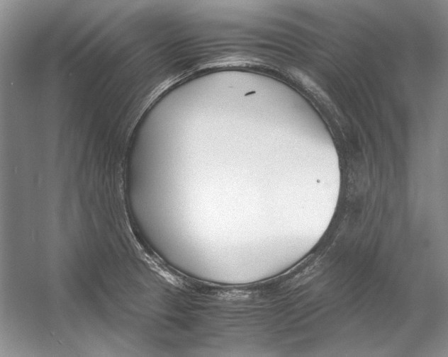 X0000053111329200508081215