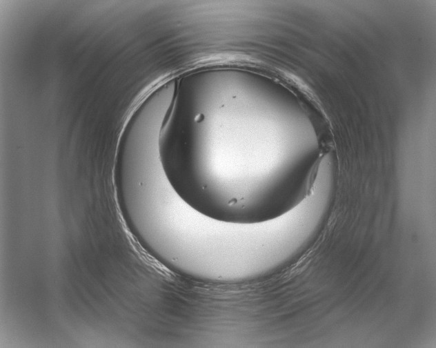 X0000053111330200508081215