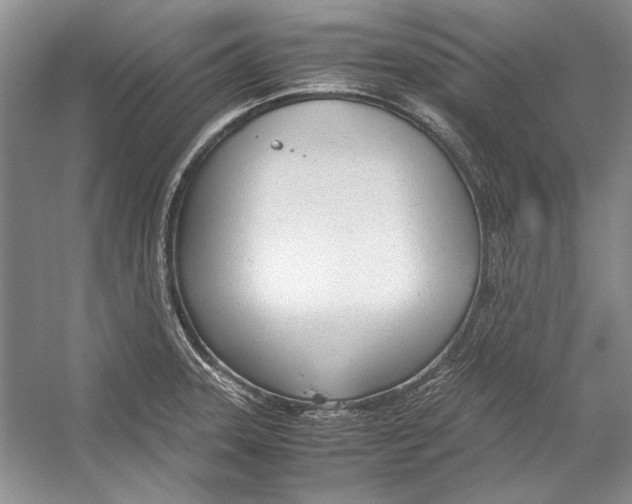 X0000053111331200508081215