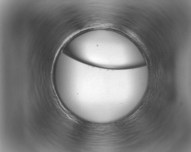 X0000053111332200508081215