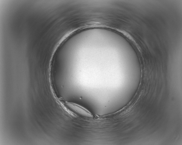 X0000053111333200508081215