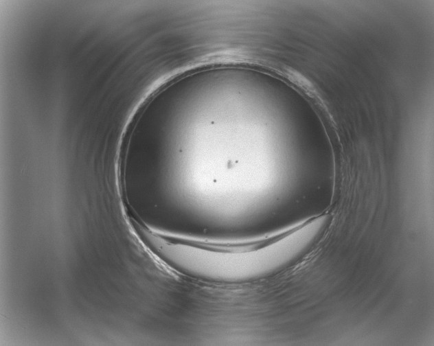 X0000053111334200508081215