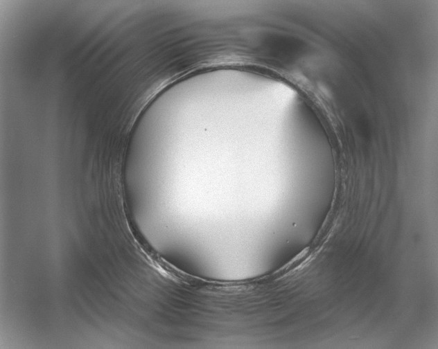 X0000053111337200508081215