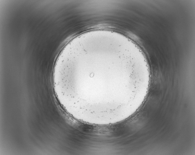 X0000053111338200508081215