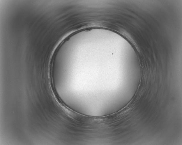 X0000053111339200508081215